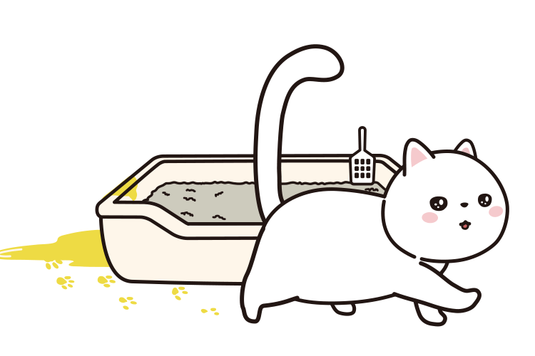 Why is my cat not peeing in litter box? Spot the emergency first