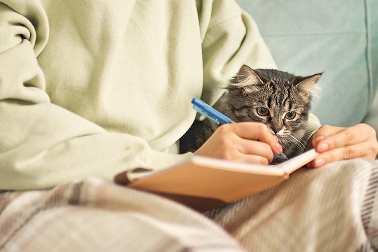 Are Smart Cat Litter Boxes Safe for Cats - Meowant