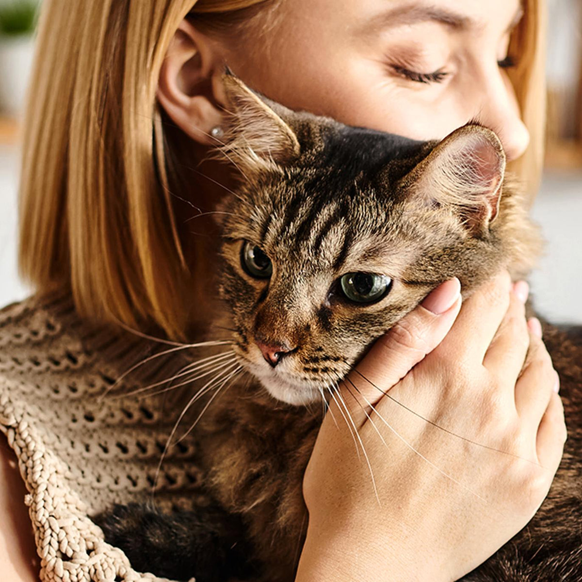Best Types of Cat Litter Boxes in 2025 - Meowant