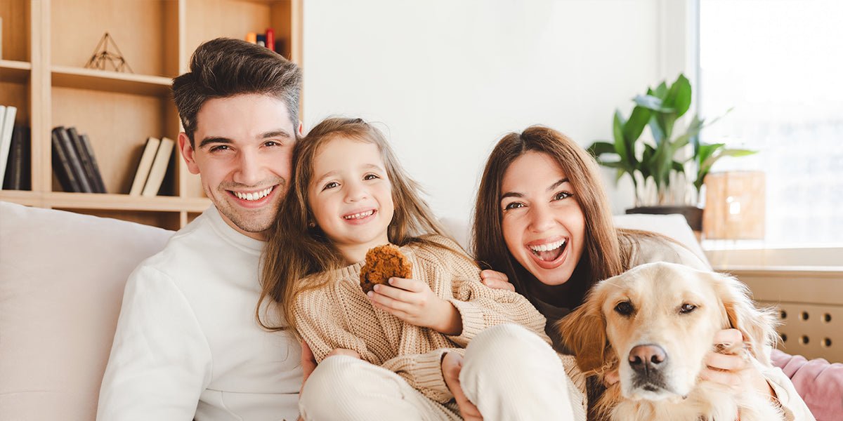 Is It Worth Getting a Pet Camera? - Meowant