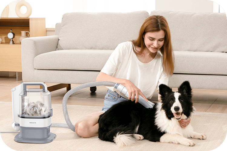 What At-Home Grooming Can Do For Your Dog (And You) - Meowant