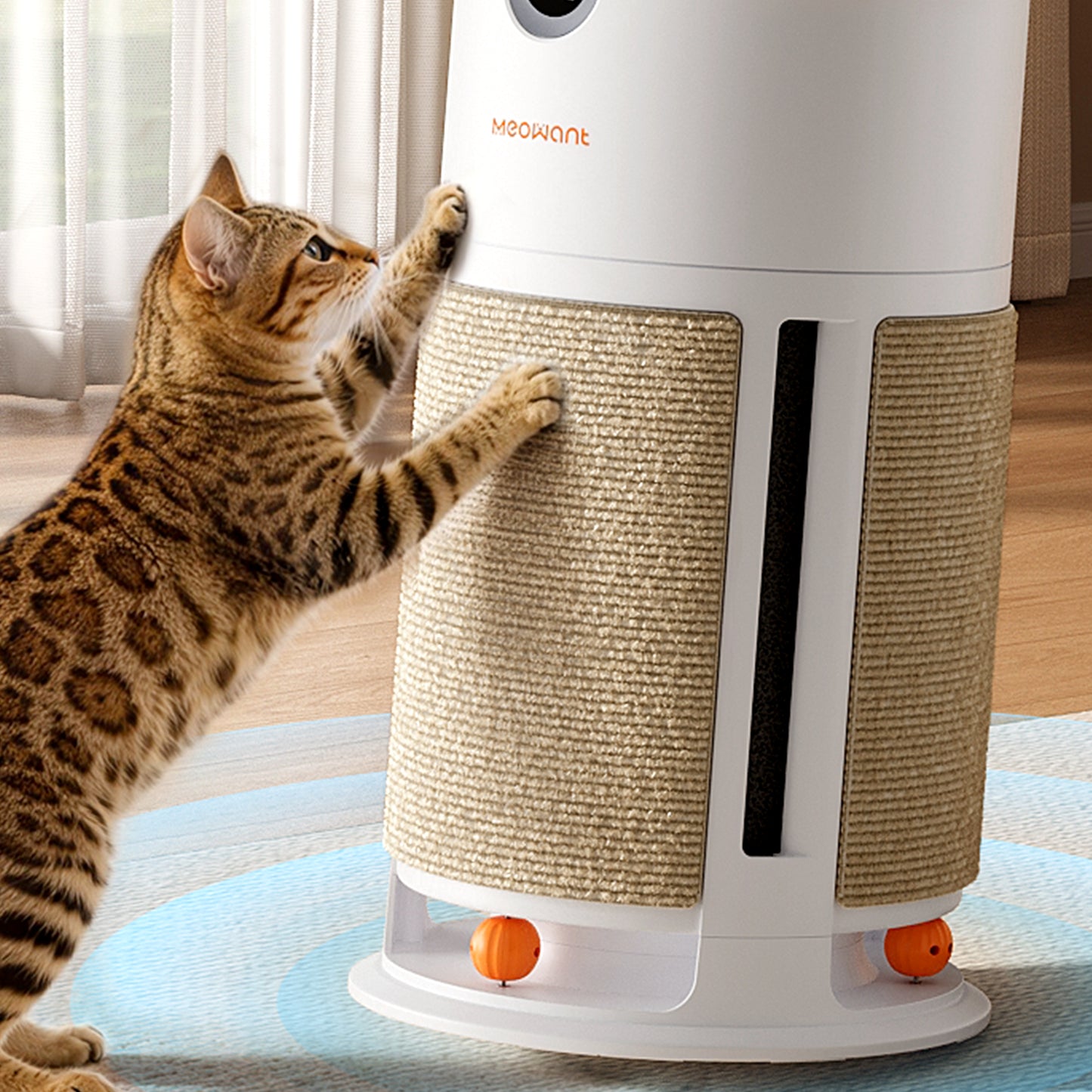 Meowant PA08 Cat Scratch Board
