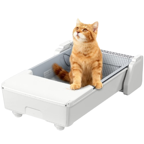 Meowant Open Top Self-Cleaning Cat Litter Box – SC03