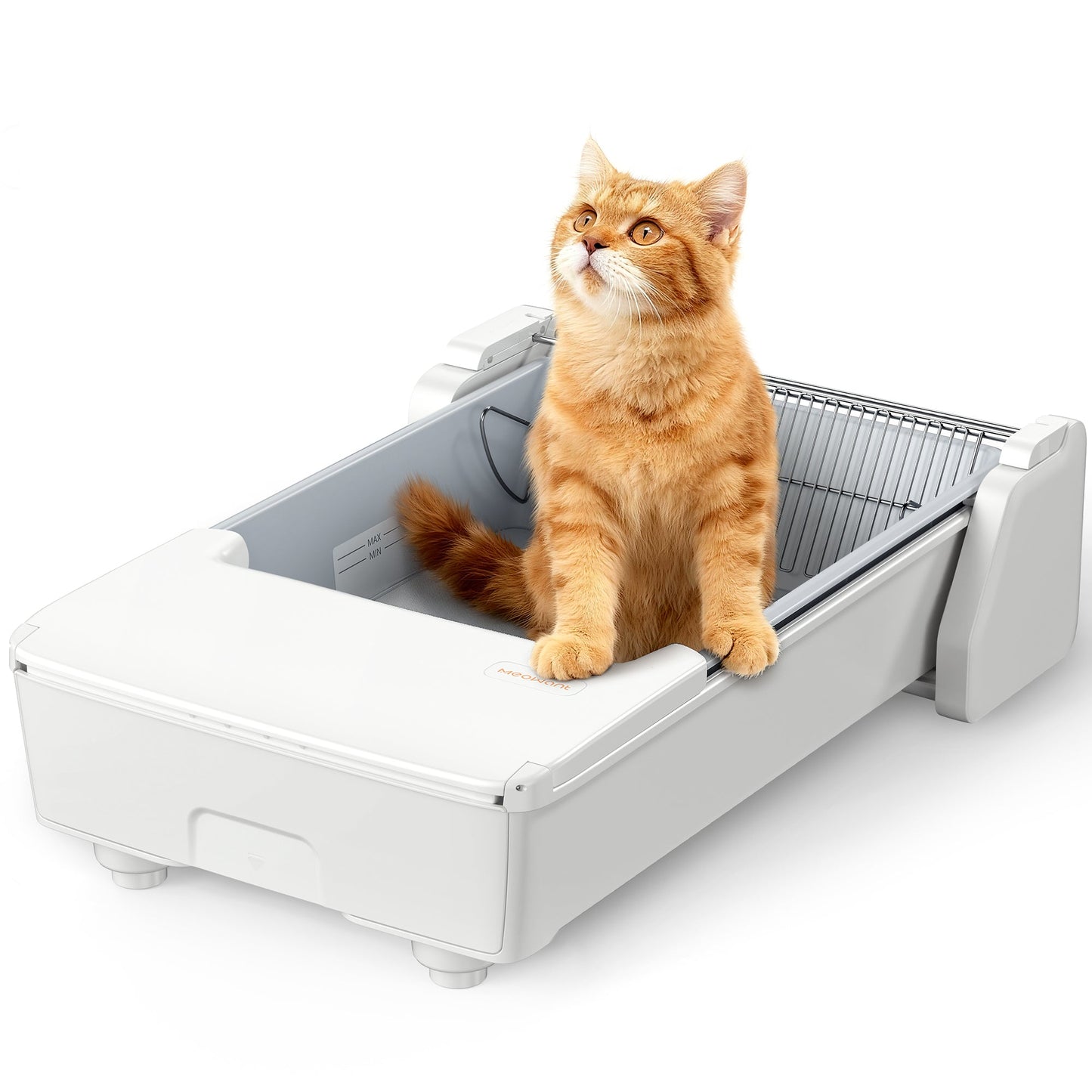 Orange tabby cat sitting inside a white Meowant MW-SC03 open-top self-cleaning litter box, looking upwards.