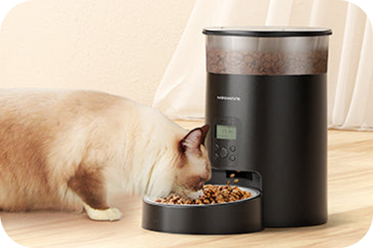 Should You Use an Automatic Feeder for Your Cat?