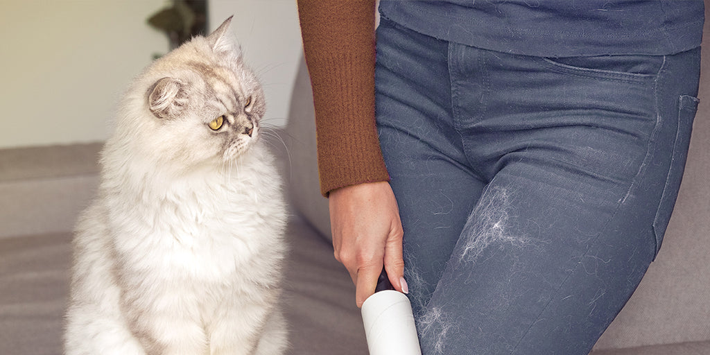 Lint roller being used to clean stray pet hairs from clothing.