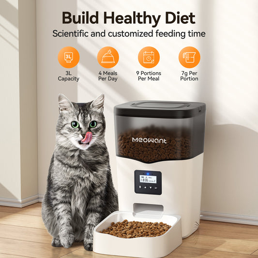How Much Should I Feed My Cat?
