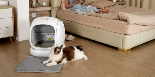 Self-Cleaning Litter Box Safe for Your Cat