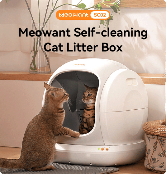 Best Pellet Litter Boxes for Cats in 2025