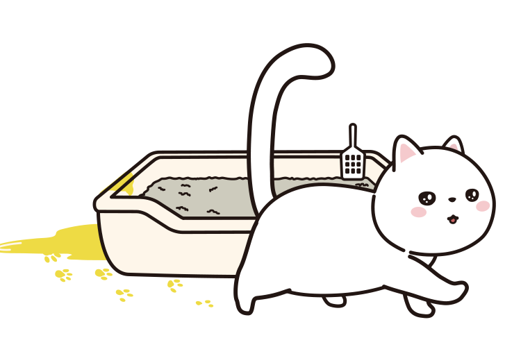 5 Reasons Why Cats Pee Outside the Litter Box and How to Fix It