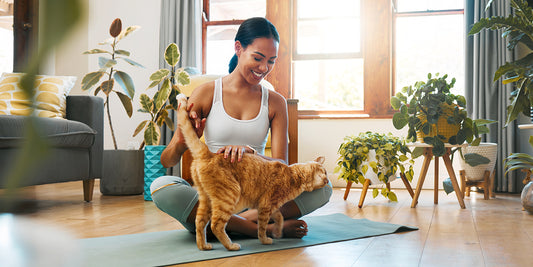 A woman sits on the ground and strokes the back of a ginger cat.