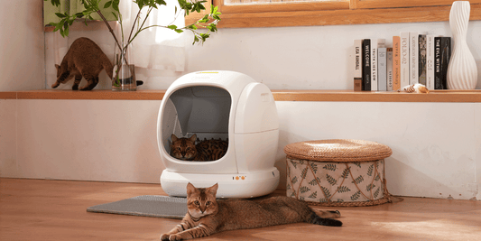 Three cats around a Meowant automatic litter box, showcasing its spacious and advanced features for a comfortable and hygienic toileting experience in a multi-cat household.