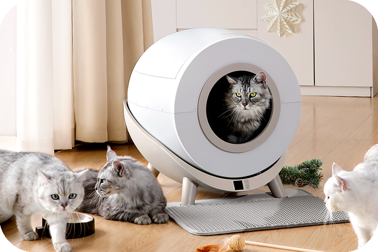 Optimal Comfort: Choosing Spacious Litter Boxes for Your Cats