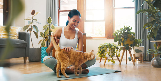 The owner is taking care of her orange cat in the living room