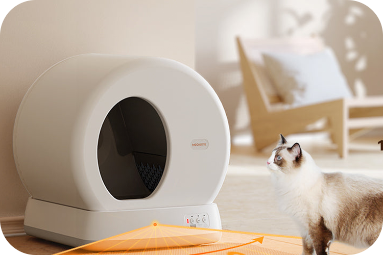 With a cat litter box, you can have a hassle-free home.