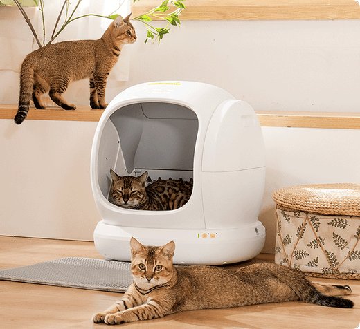 The Benefits of Self-Cleaning Litter Boxes