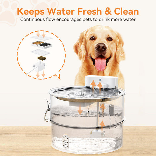Meowant stainless steel dog water fountain