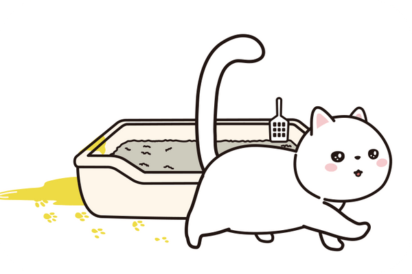 5 Reasons Why Cats Pee Outside the Litter Box and How to Fix It - Meowant