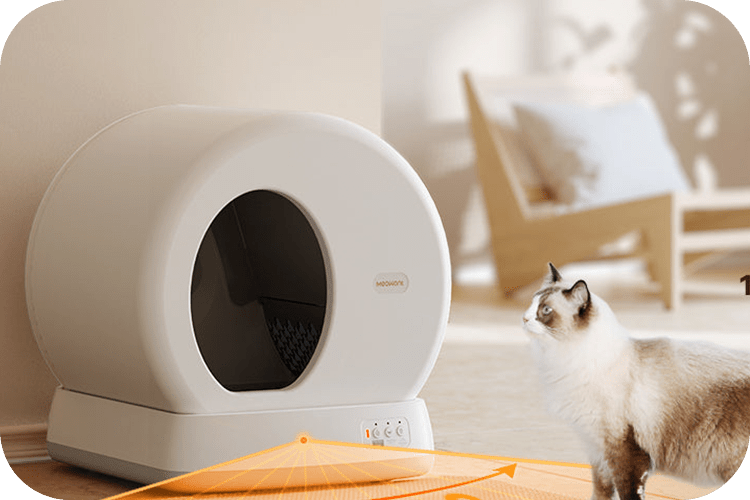 5 Tips for Choosing the Best Litter Box for Odor Control - Meowant