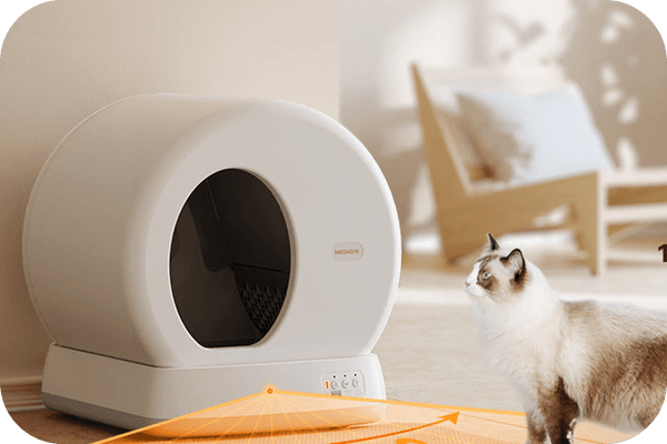 5 Tips for Choosing the Best Litter Box for Odor Control - Meowant