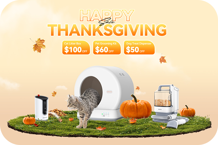 Meowant's Thanksgiving Extravaganza: Exclusive Deals for Happy Pets!
