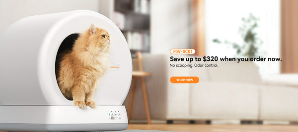 Predicting Odor Spikes: Using Meowant App Data for Preemptive Cleaning