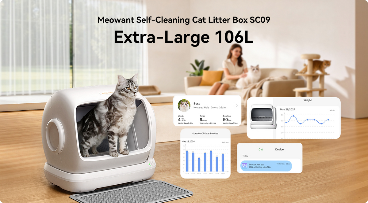 Texture Matters: Why Meowant Liners Resist Punctures and Odor