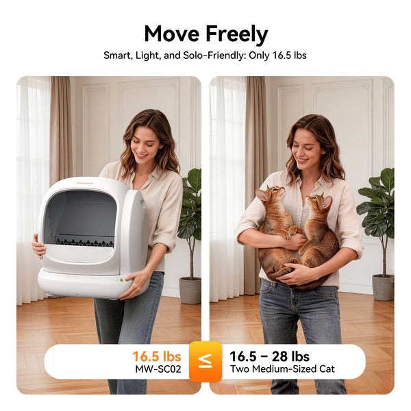 Odor Blindness Defense: A Multi-Cat Parent’s Guide to Home Freshness