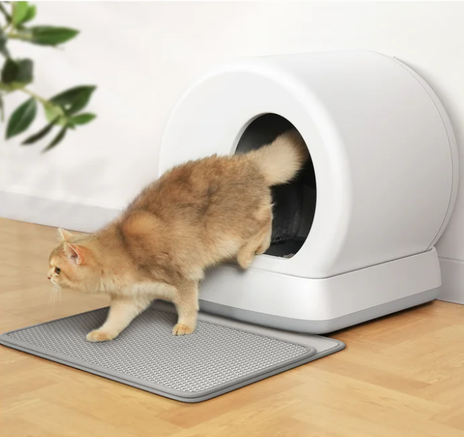 How to transition your cat to a self-cleaning litter box? – Meowant