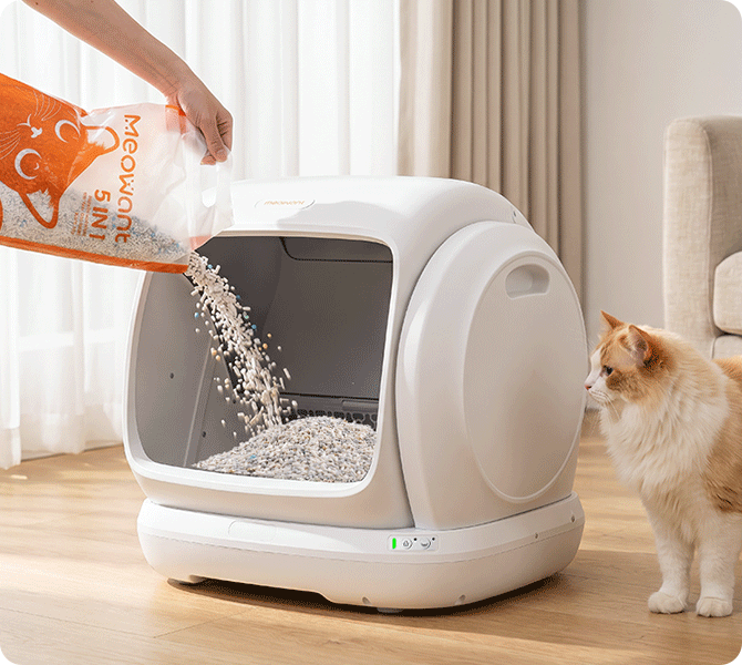 Avoiding the Bottleneck: Placement for High-Traffic Multi-Cat Areas