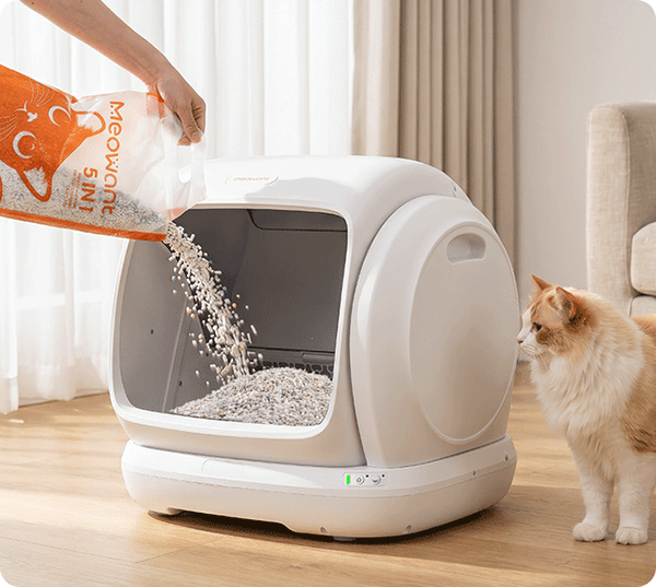 Avoiding the Bottleneck: Placement for High-Traffic Multi-Cat Areas