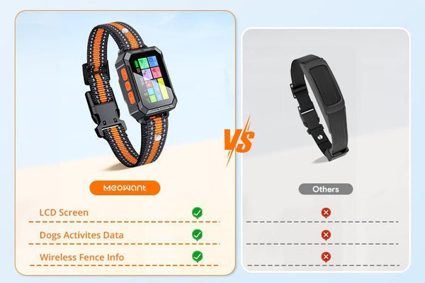 Are GPS Wireless Dog Fences Worth the Investment? A Cost–Benefit Breakdown - Meowant