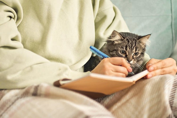 Are Smart Cat Litter Boxes Safe for Cats - Meowant