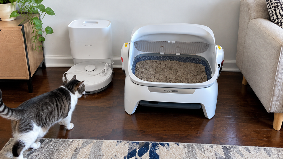 Cat approaching an automatic litter box at home