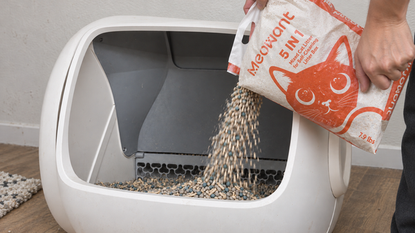 Hand pouring Meowant mixed litter into an open automatic litter box