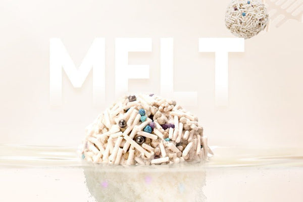 Best Pellet Litter Boxes for Cats in 2025 - Meowant