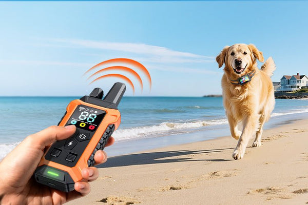 Best Wireless Dog Fence Systems for Multi-Dog or Large-Dog Homes - Meowant