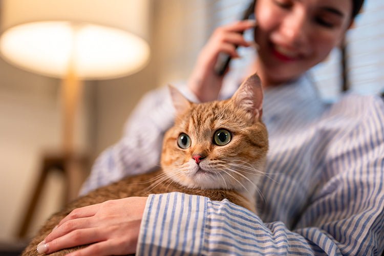 Can Being in a Room With Cat Litter Make You Sick? - Meowant