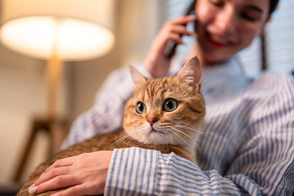 Can Being in a Room With Cat Litter Make You Sick? - Meowant