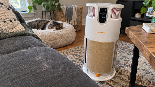 Phone photo of cat hair near a pet air purifier