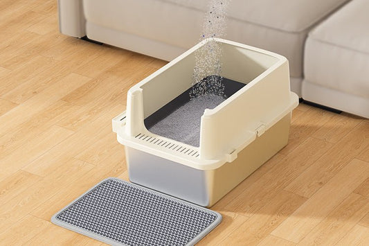Do Stainless Steel Litter Boxes Really Smell Less? - Meowant