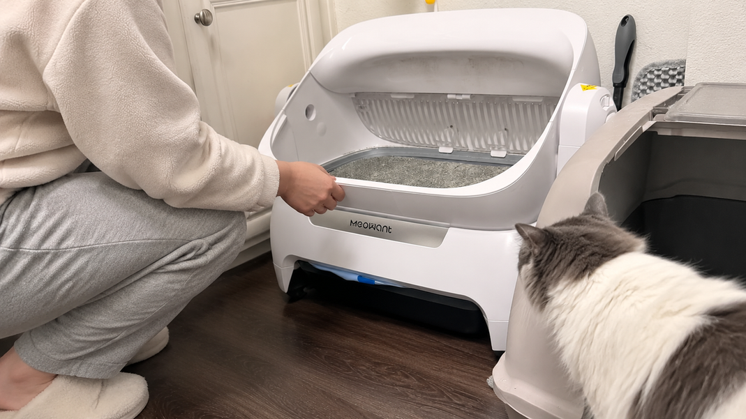 Person inspecting an automatic litter box at home