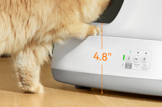 Hooded Litter Boxes: Do Cats Like Them?