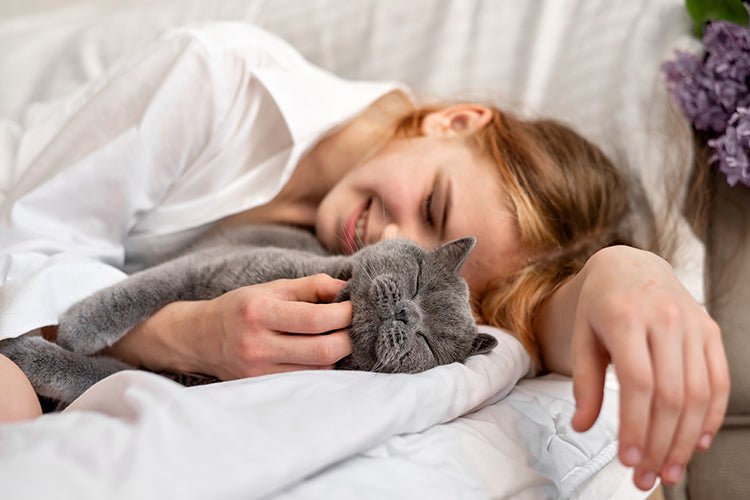 How Cats Help With Stress and Mental Health - Meowant