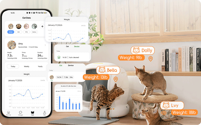 How Often Do Cats Pee? The Ultimate Guide - Meowant