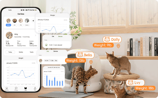 How Often Do Cats Pee? The Ultimate Guide - Meowant