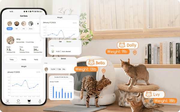 How Often Do Cats Pee? The Ultimate Guide - Meowant