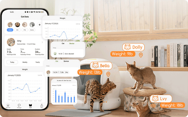 How Often Do Cats Pee? The Ultimate Guide - Meowant