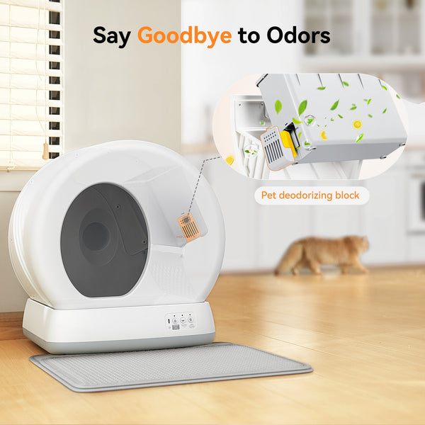 How Often Should You Clean the Litter Box - Meowant
