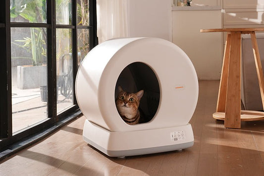 How Rake and Drum Systems Differ in Self-Cleaning Litter Boxes - Meowant